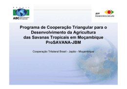 Programa de Coopera&ccedil;&atilde;o Triangular para o Desenvolvimento da