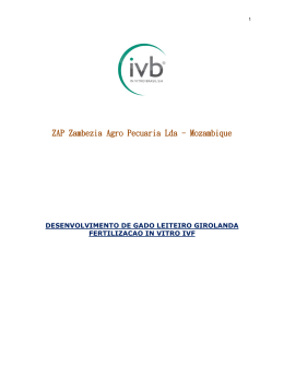 Veja o projeto na &iacute;ntegra