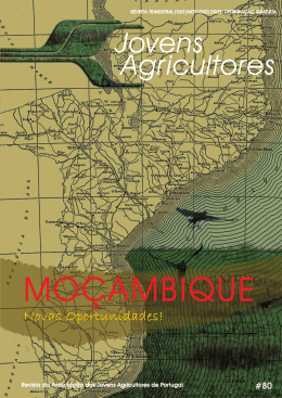 Revista AJAP n.&ordm; 80