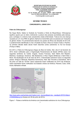 informe técnico chikungunya, junho 2014