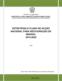 ESTRAT&Eacute;GIA E PLANO DE AC&Ccedil;&Atilde;O NACIONAL PARA