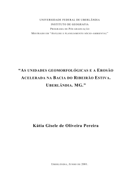K&aacute;tia Gisele de Oliveira Pereira - RI UFU