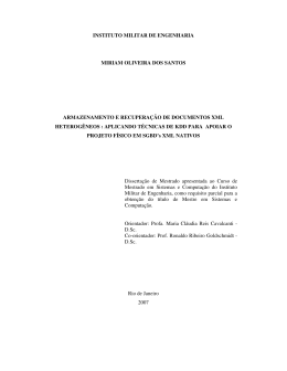 instituto militar de engenharia miriam oliveira dos santos