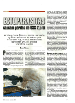 Verminose, berne, bicheiras, moscas e carrapatos