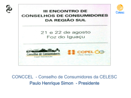 Apresenta&ccedil;&atilde;o Paulo Simon CONCCEL CELESC