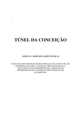 T&Uacute;NEL DA CONCEI&Ccedil;&Atilde;O