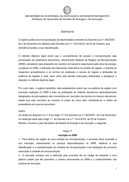 DESPACHO do SEEI de 26 de Novembro de 2010