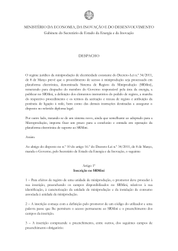 Despacho Procedimento Registo do SEEI, de 20 de abril de 2011
