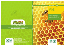 Manejo de apiário para produção de mel