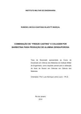 e Colagem por Barbotina para Produ&ccedil;&atilde;o de Alumina Densa