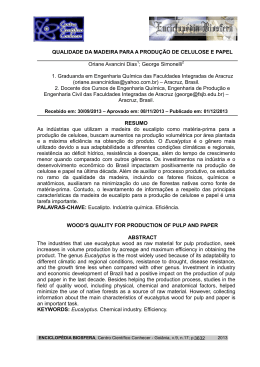 qualidade da madeira para a produ&ccedil;&atilde;o de celulose e papel