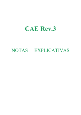 Notas Explicativas - Instituto de Desenvolvimento Empresarial