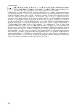 IMUNOCITOQU&Iacute;MICA DA PAREDE CELULAR DURANTE O