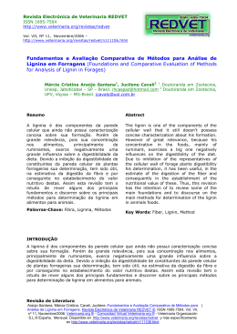 Fundamentos e Avalia&ccedil;&atilde;o Comparativa de