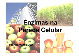Enzimas na Enzimas na P d C l l P d C l l Parede Celular