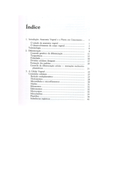 &Iacute;ndice - Fafire