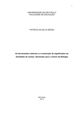 As ferramentas culturais e a constru&ccedil;&atilde;o de significados em