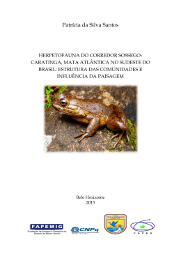 Patr&iacute;cia da Si Patr&iacute;cia da Silva Santos antos
