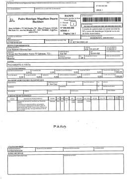 Pedro Henrique Magalhaes Duarte