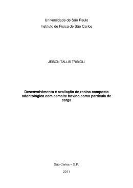 Desenvolvimento e avalia&ccedil;&atilde;o de resina composta odontol&oacute;gica com