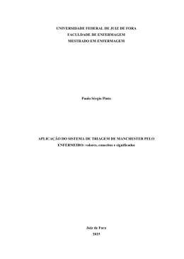 Dissertação – Paulo Sérgio Pinto - Universidade Federal de Juiz de