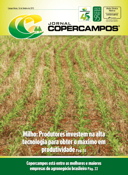 Milho: Produtores investem na alta tecnologia para obter o m&aacute;ximo