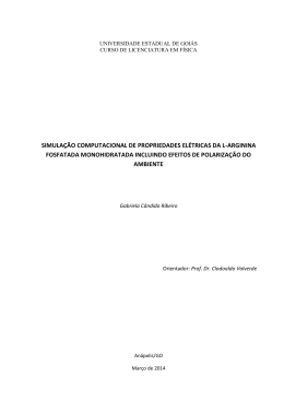 simula&ccedil;&atilde;o computacional de propriedades el&eacute;tricas da l