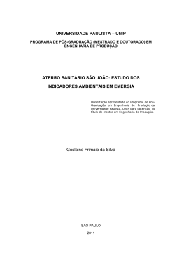 Disserta&ccedil;&atilde;o - Advances In Cleaner Production