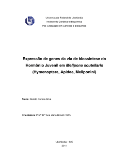 Expressão de genes da via de biossíntese do Hormônio