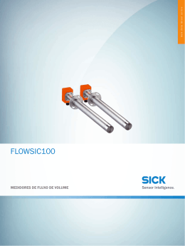 FLOWSIC100, Sem data Sheet online