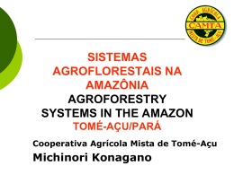 sistemas agroflorestais na amazônia agroforestry systems in the