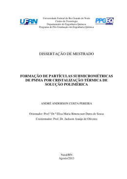 DISSERTA&Ccedil;&Atilde;O DE MESTRADO