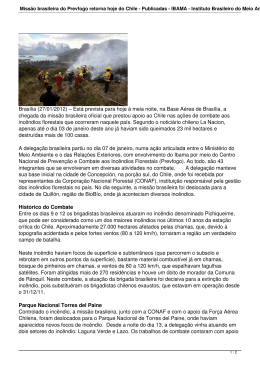 Missão brasileira do Prevfogo retorna hoje do Chile