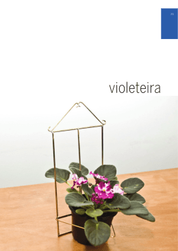 violeteira com dremel versaflame e dremel 3000