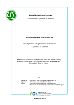 Revestimentos Hidrof&oacute;bicos - RUN