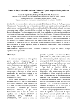 8 - Universidade Federal do Amap&aacute;