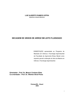 secagem de gr&atilde;os de arroz em leito fluidizado