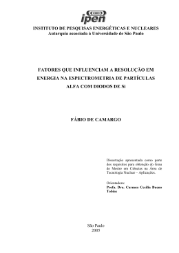 FATORES QUE INFLUENCIAM A RESOLU&Ccedil;&Atilde;O EM ENERGIA NA