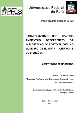 do Par&aacute; Universidade Federal do Par&aacute;