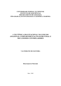 A TECT&Ocirc;NICA GRAVITACIONAL NO CONE DO AMAZONAS