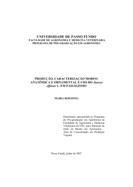 Potencial de produ&ccedil;&atilde;o, caracteriza&ccedil;&atilde;o ornamental e uso do Juncus