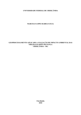geoprocessamento aplicado a avalia&ccedil;&atilde;o de impacto ambiental das