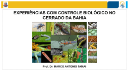 Apresenta&ccedil;&atilde;o do PowerPoint