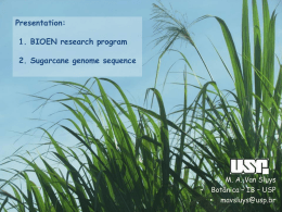 1. BIOEN research program 2. Sugarcane genome sequence
