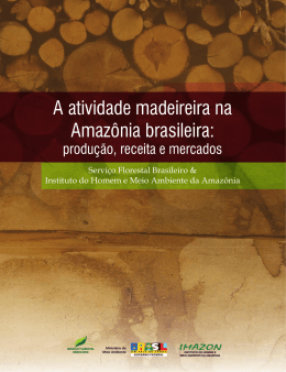 A atividade madeireira na Amaz&ocirc;nia brasileira: