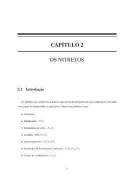 CAPÍTULO 2 OS NITRETOS