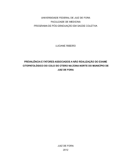 Disserta&ccedil;&atilde;o