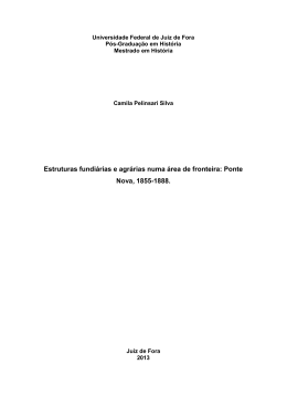 Estruturas fundiárias e agrárias numa área de fronteira: Ponte Nova