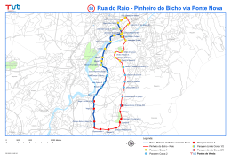 Rua do Raio - Pinheiro do Bicho via Ponte Nova