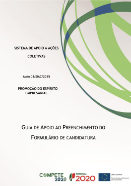 Guia de Apoio ao Preenchimento do Formul&aacute;rio
